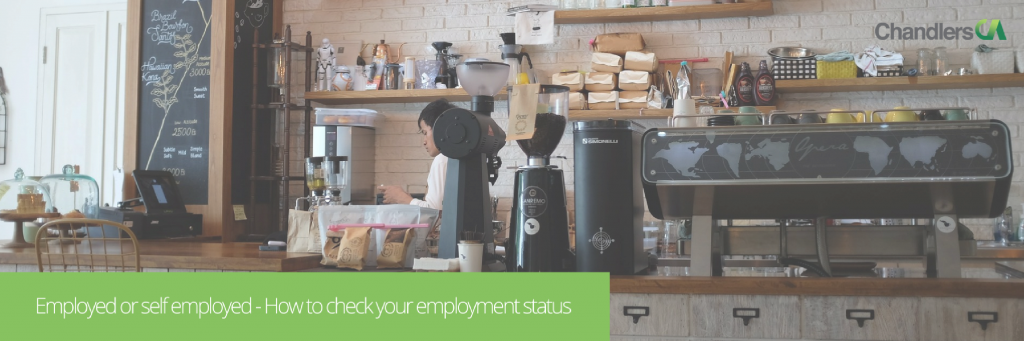 Employment status - employed or self employed